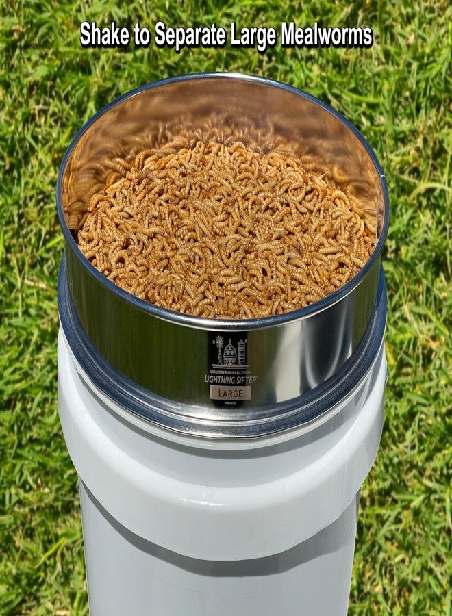 Mealworm Farming Solutions MFS' D-11 Lightning Sifter Large Mealworm Sifting Pan (2nd Gen) - Image 4